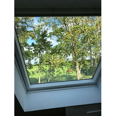 Prázdninový dům Maja Am